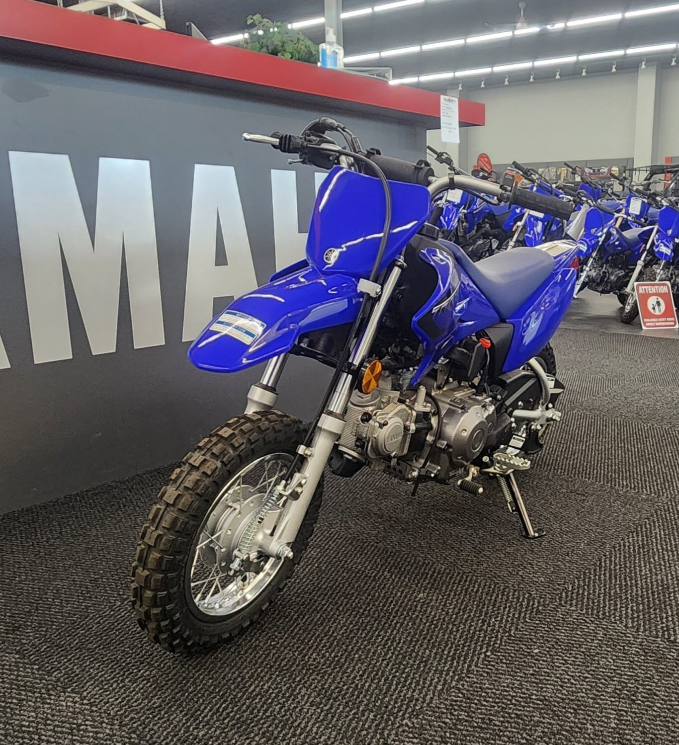 2023 YAMAHA TT R50