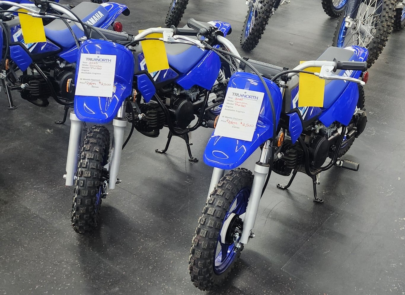 2025 YAMAHA PW50