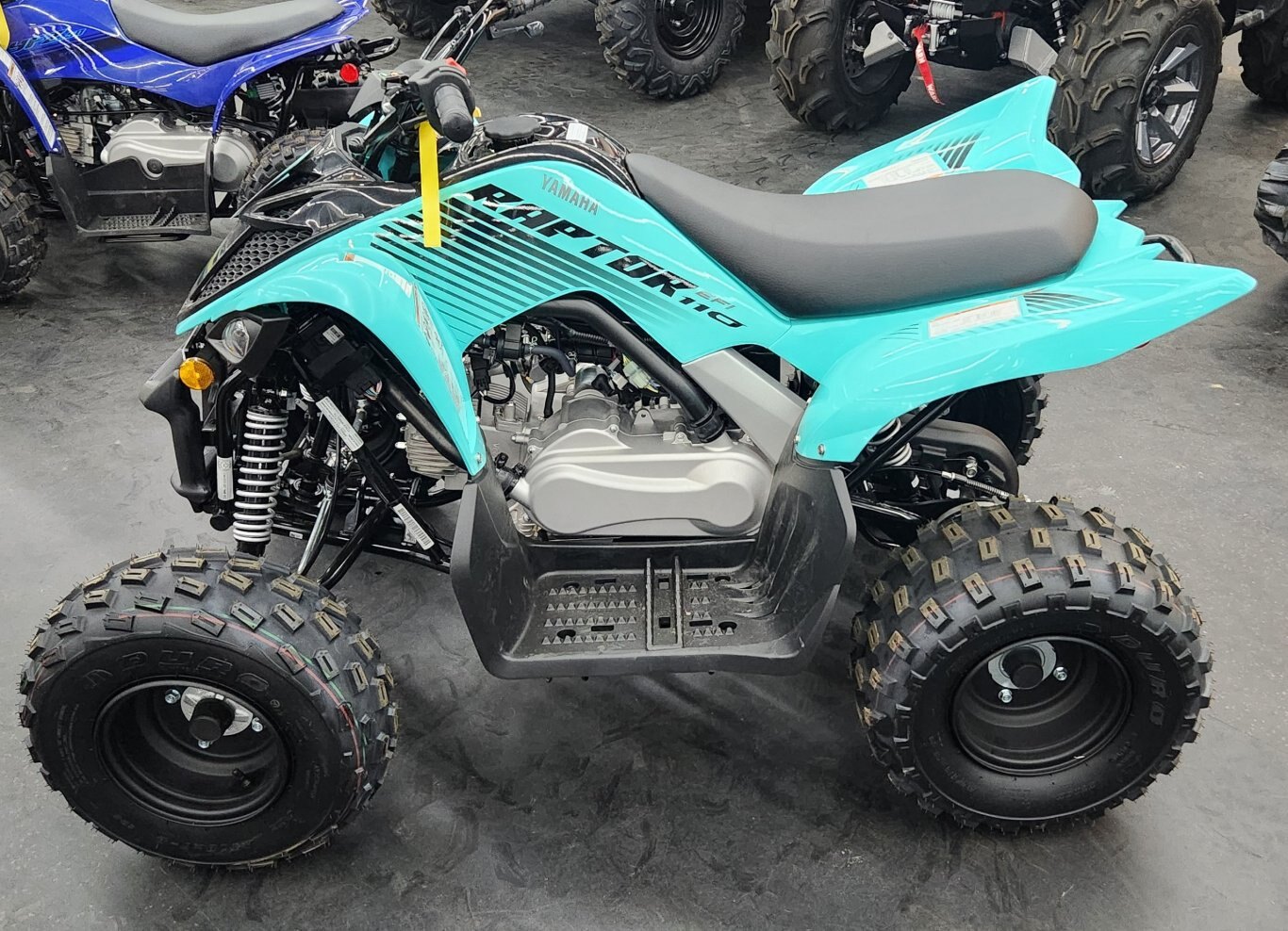 2025 YAMAHA RAPTOR 110