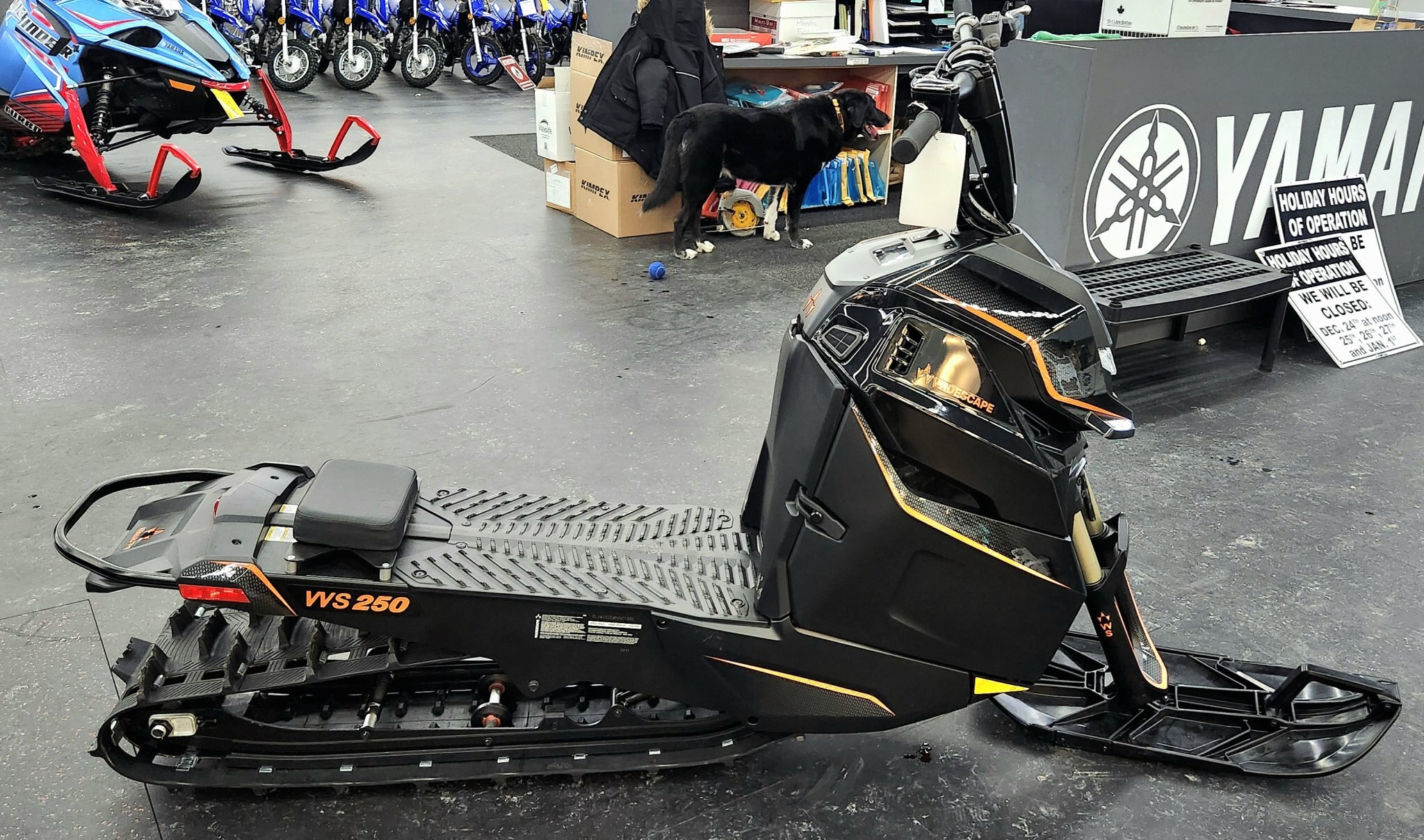 2024 Arctic Cat WIDESCAPE 250 US