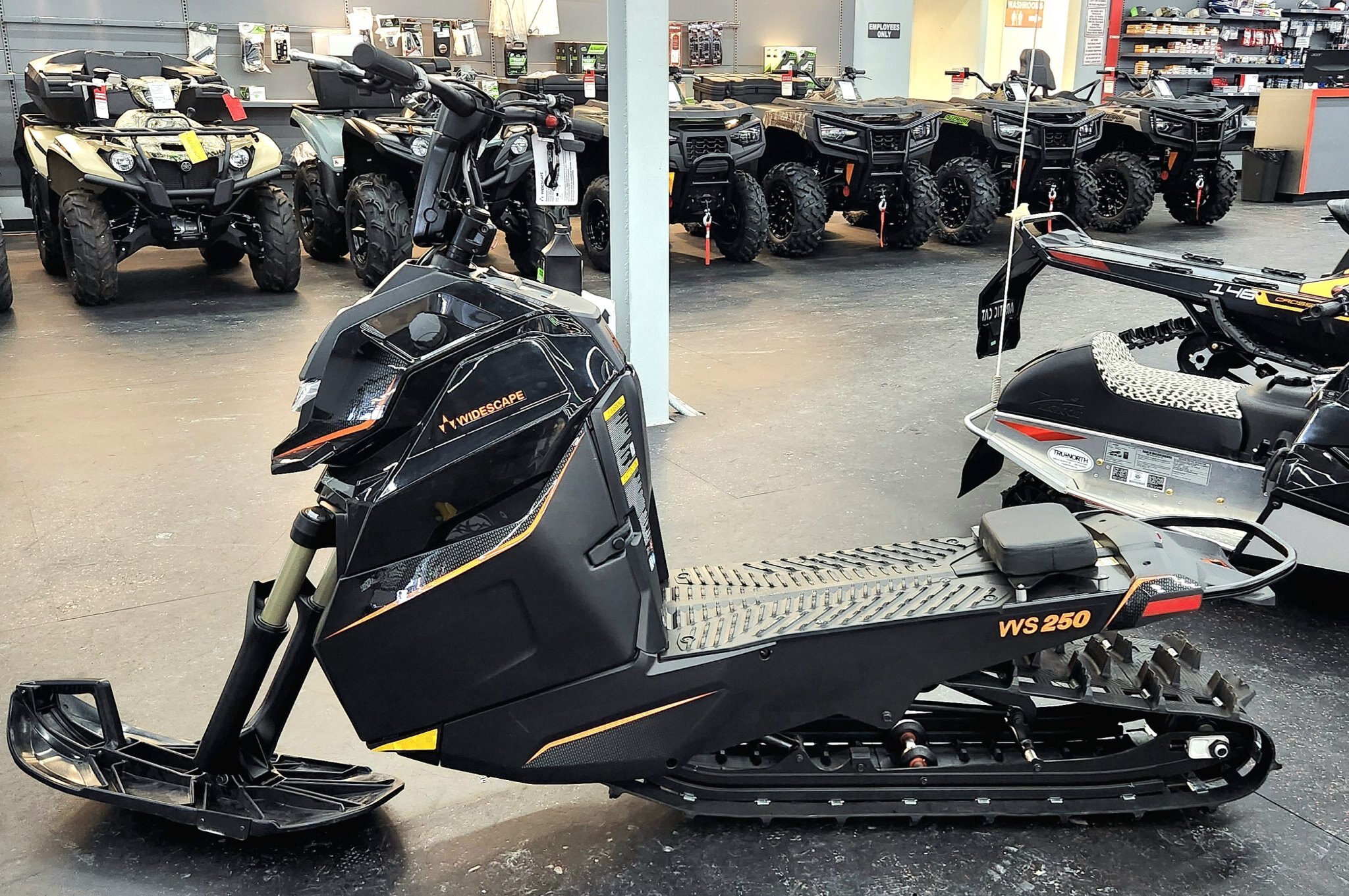 2024 Arctic Cat WIDESCAPE 250 US