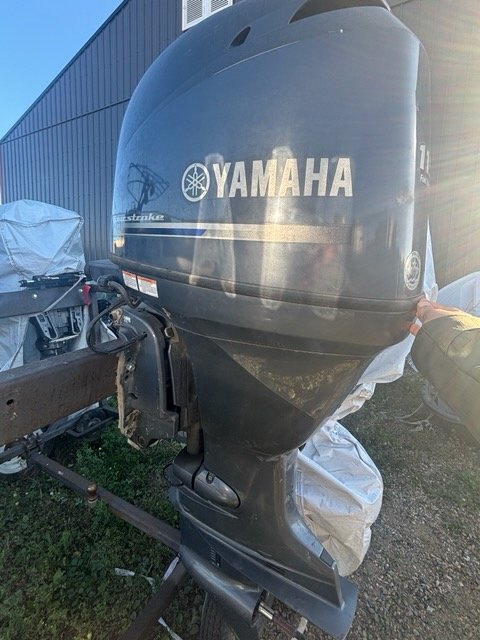 2013 YAMAHA LF115XA