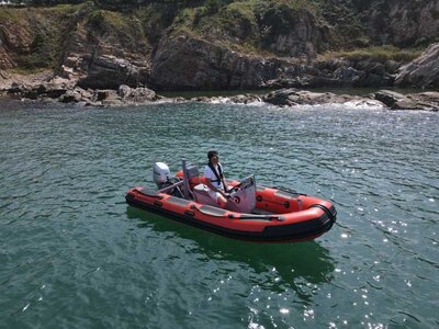 Highfield Patrol 460