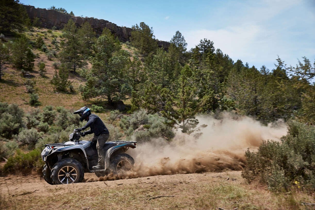 Yamaha GRIZZLY EPS SE 2024 Argent métallisé/Noir