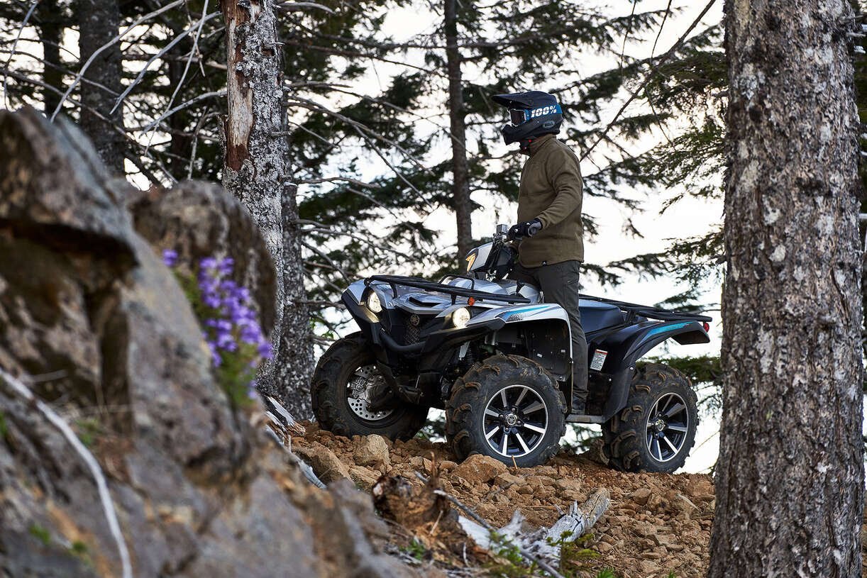 Yamaha GRIZZLY EPS SE 2024 Argent métallisé/Noir