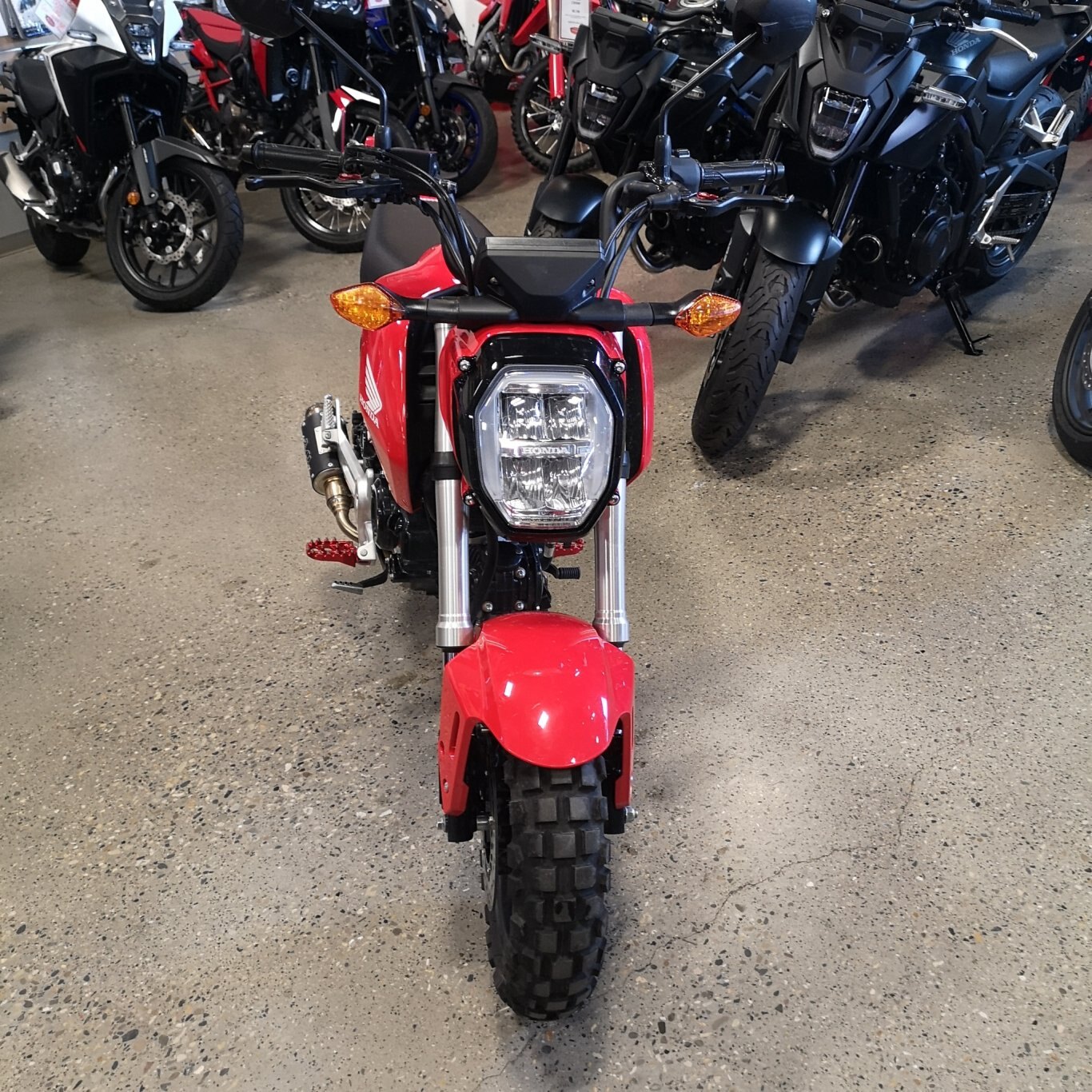 2023 Honda Grom Off Road Setup!