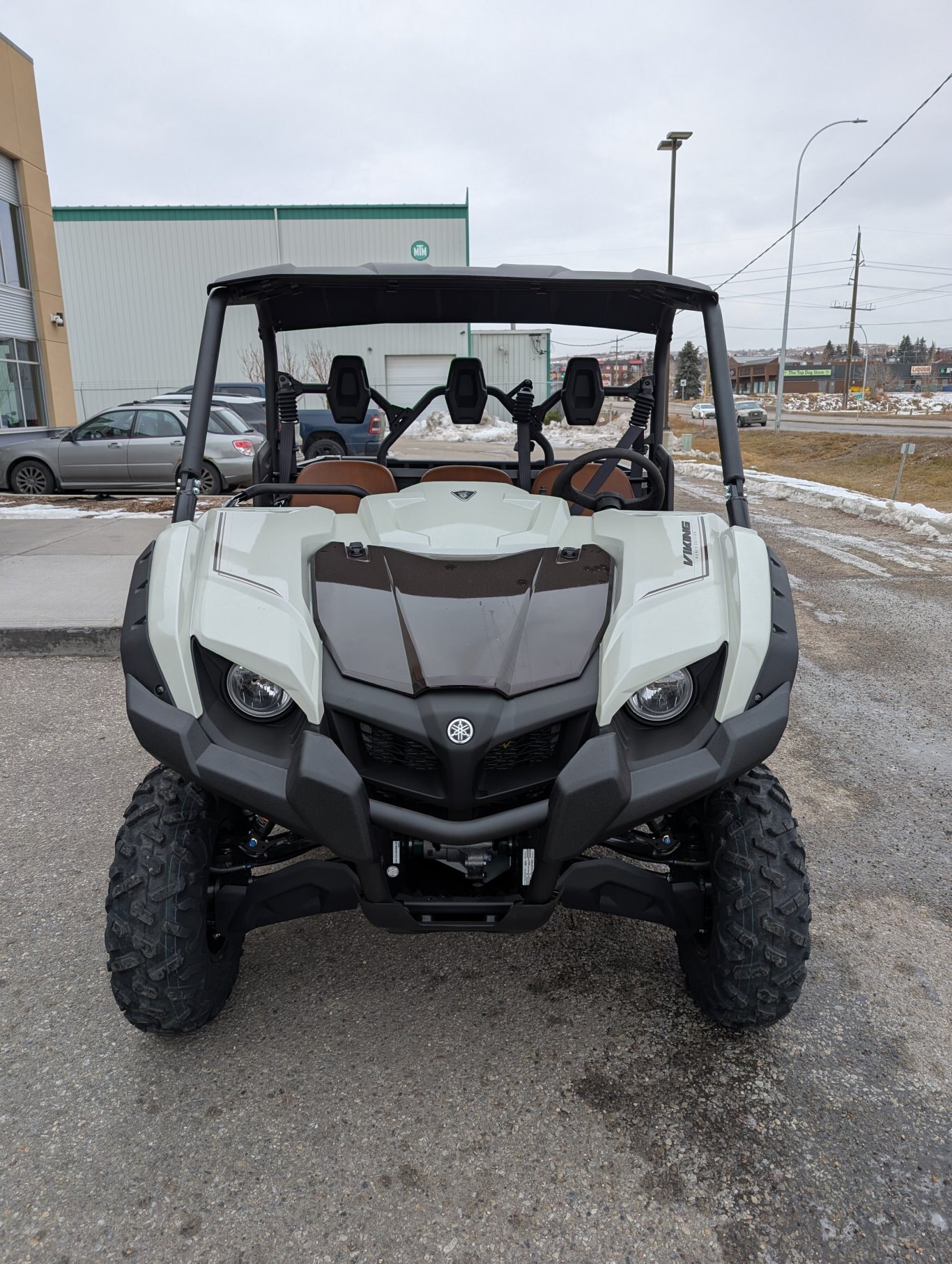 2025 Yamaha VIKING SE Ranch Edition