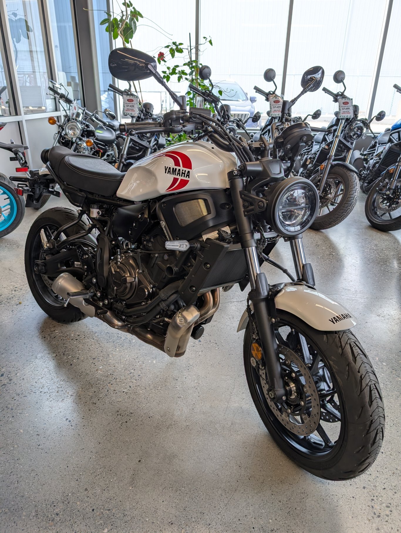 2024 Yamaha XSR700 Heritage White