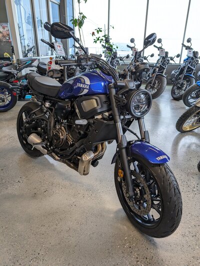 2024 Yamaha XSR700 Team Yamaha Blue