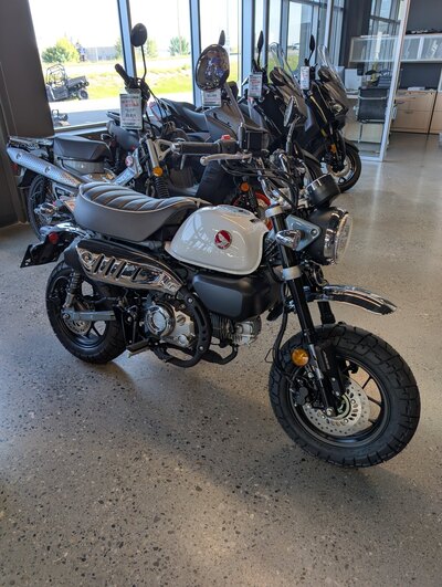2025 Honda Monkey ABS - DEMO CLEARANCE!