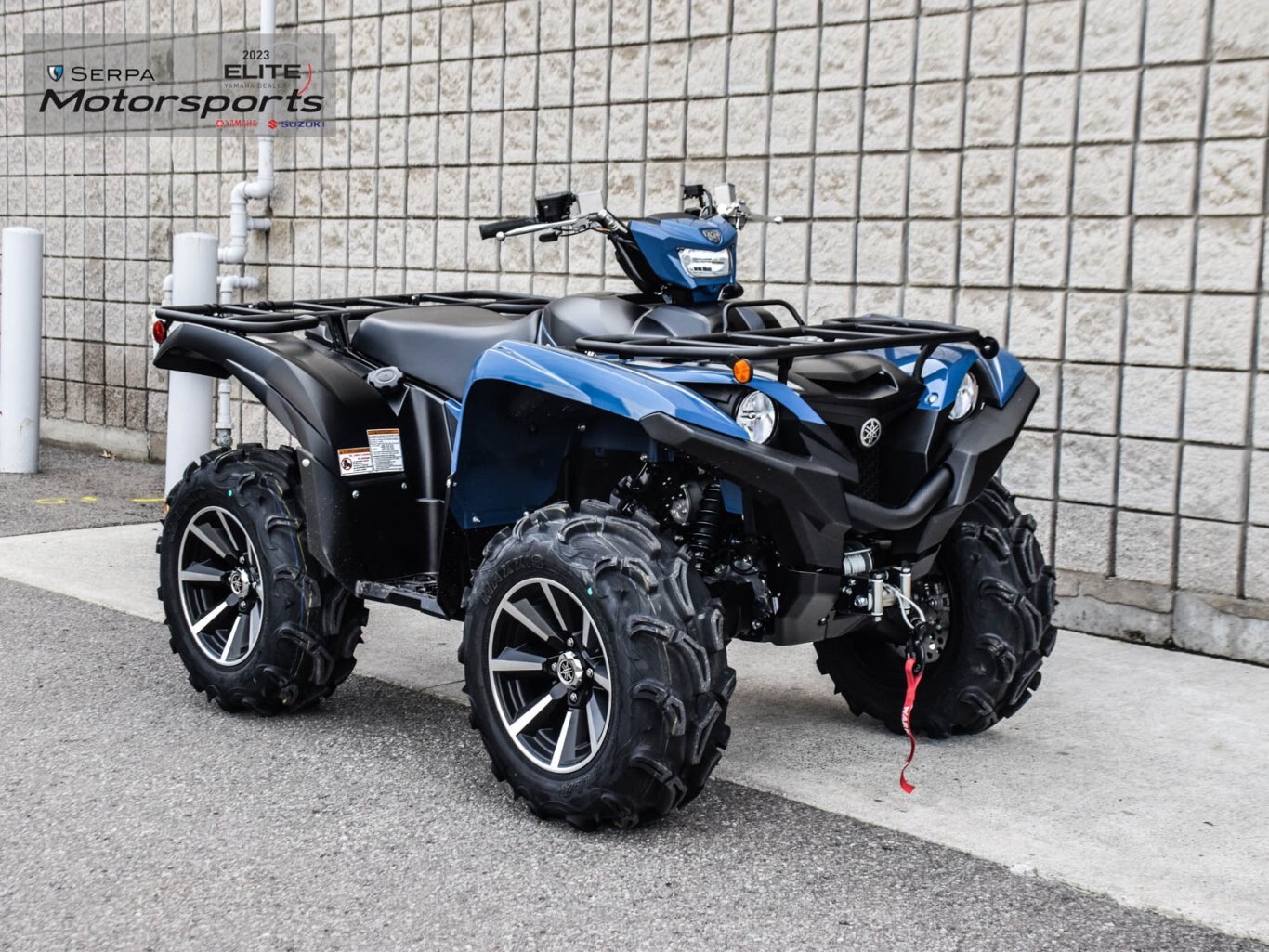 2025 Yamaha Grizzly EPS SE