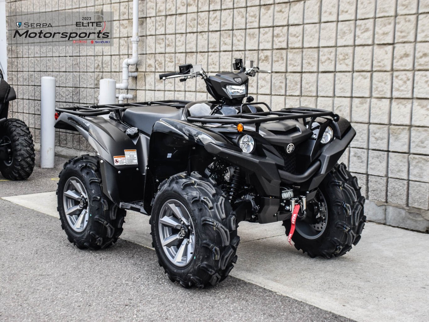 2025 Yamaha Grizzly EPS SE