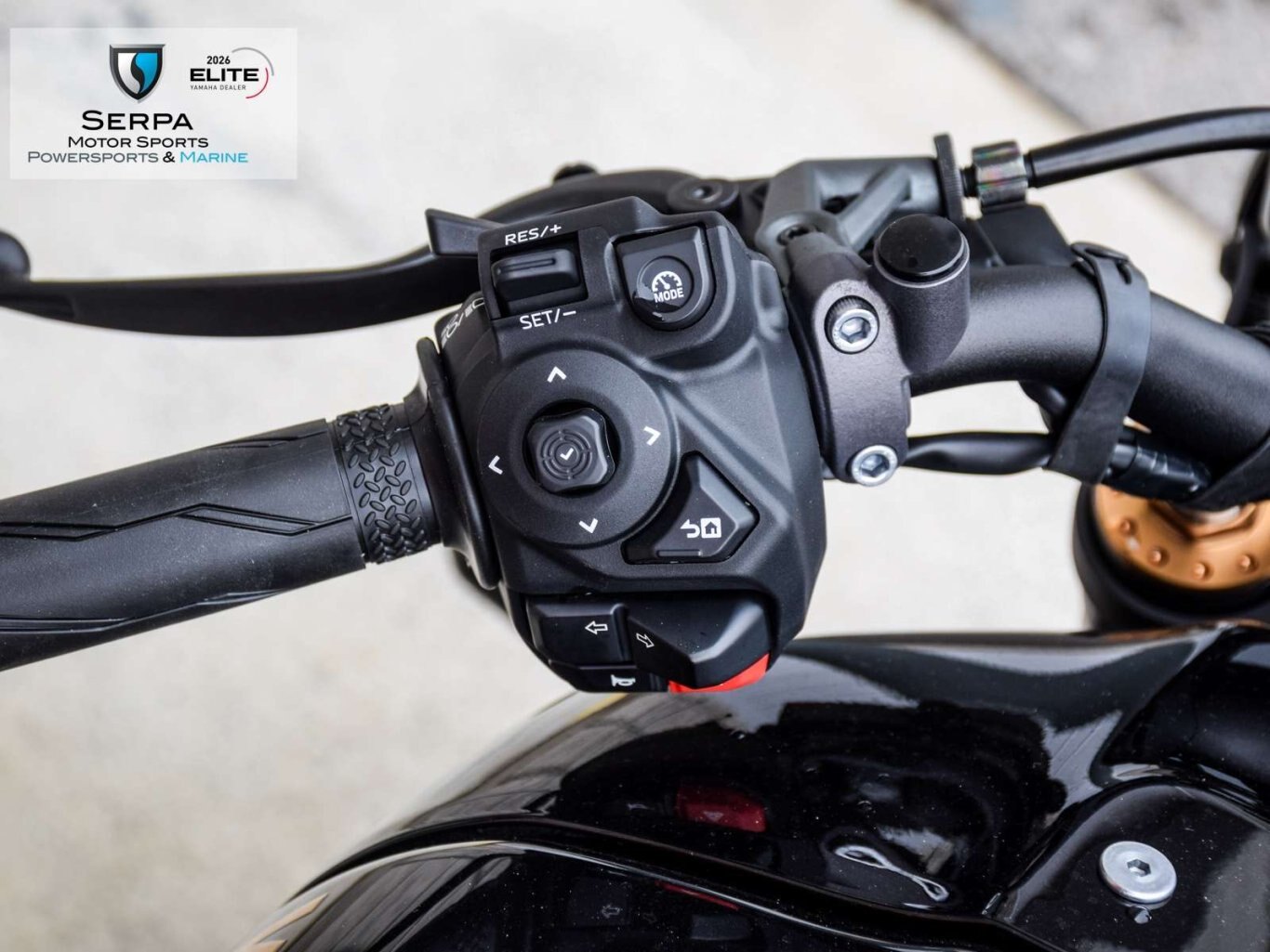 2026 Yamaha XSR 900 FINANCE RATES STARTING AT 0% OAC! 