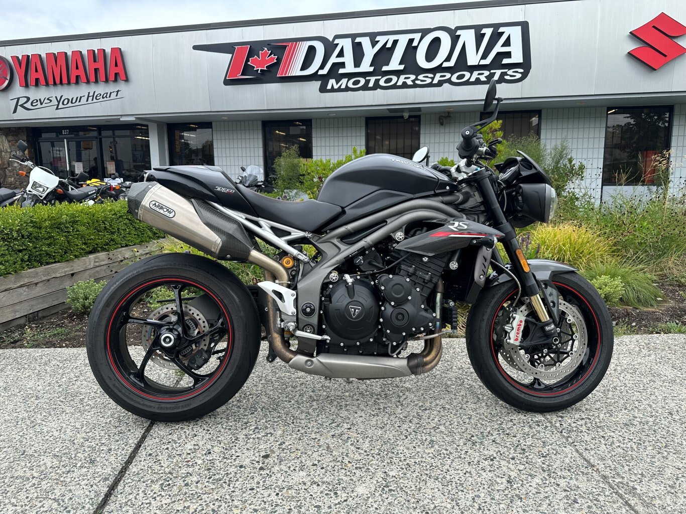 2019 Speed Triple 1050 RS