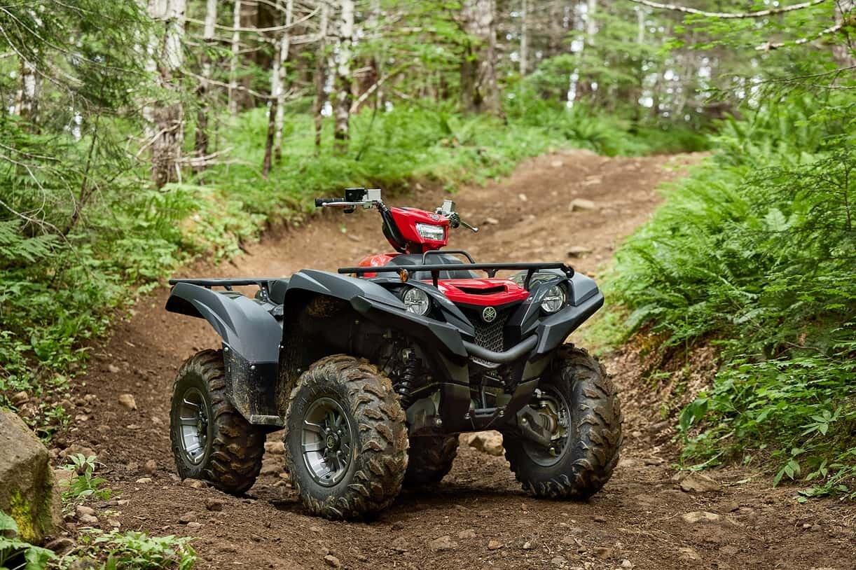 2025 Yamaha Grizzly EPS