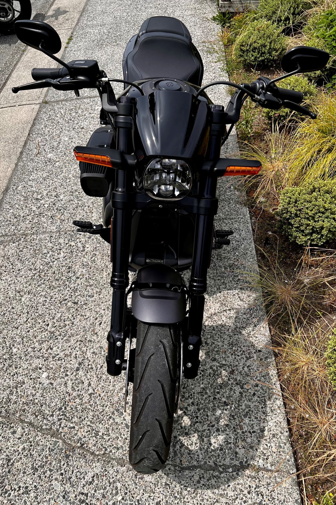 2019 Harley Davidson FXDR 114