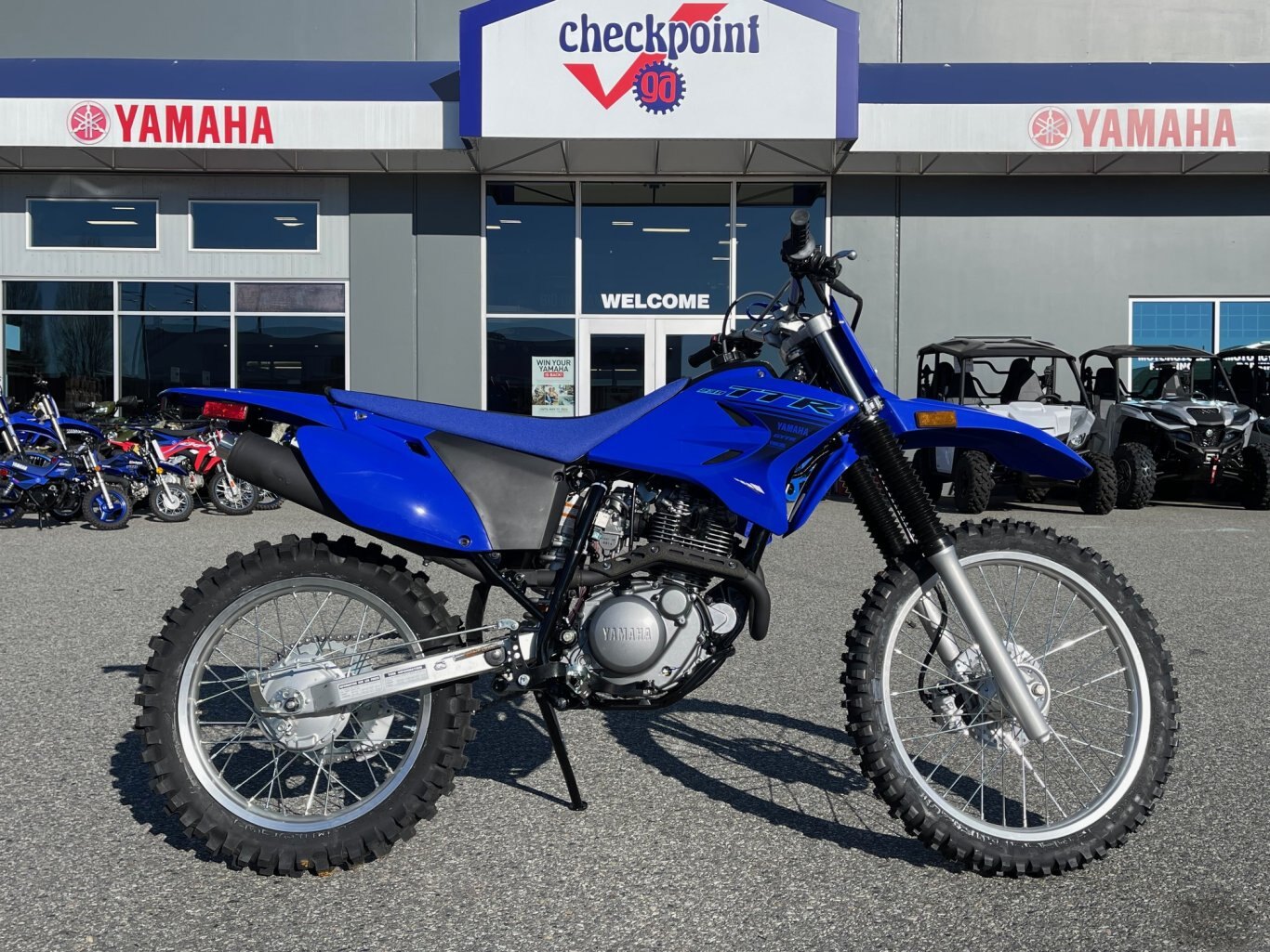 2024 Yamaha TTR230