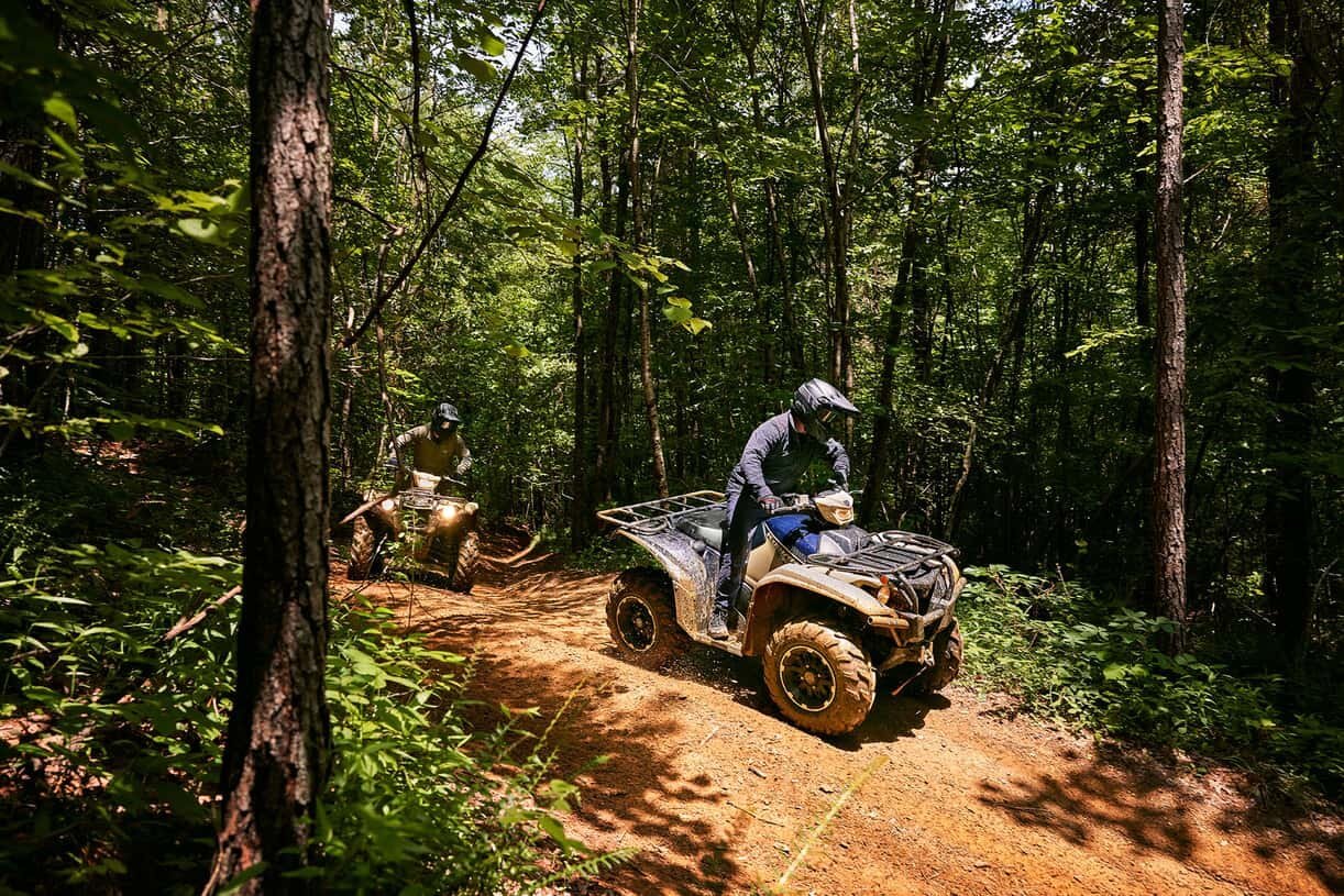 2025 Yamaha Kodiak 700 EPS SE