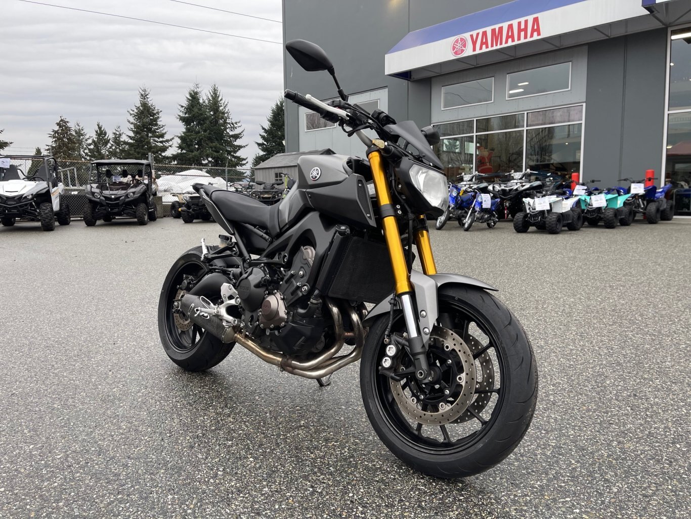 2015 Yamaha FZ09