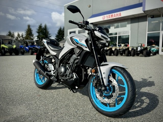 2026 Yamaha MT 03 Ice Storm