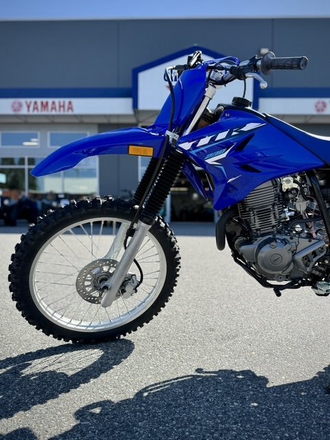2026 Yamaha TTR 230
