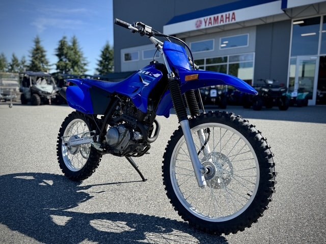 2026 Yamaha TTR 230