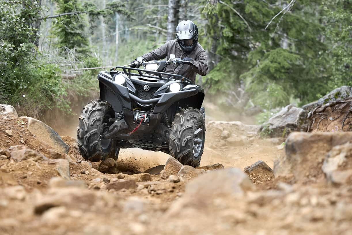 Yamaha Grizzly EPS SE 2025 Gris mat/noir métallisé