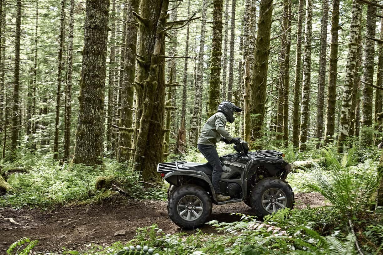 Yamaha Grizzly EPS SE 2025 Gris mat/noir métallisé