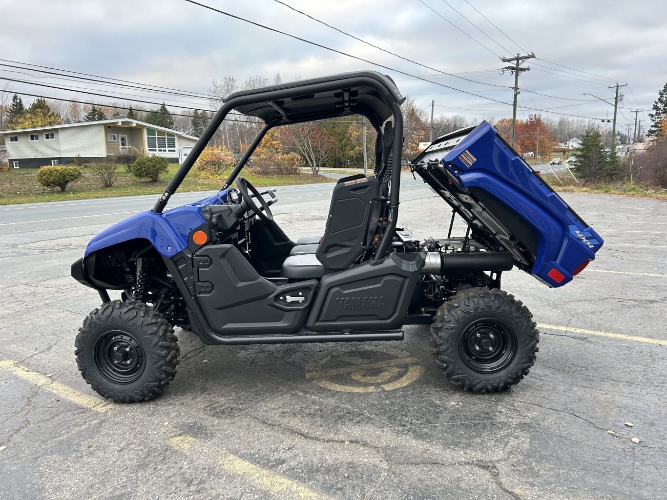 2025 Yamaha VIKING Yamaha Blue