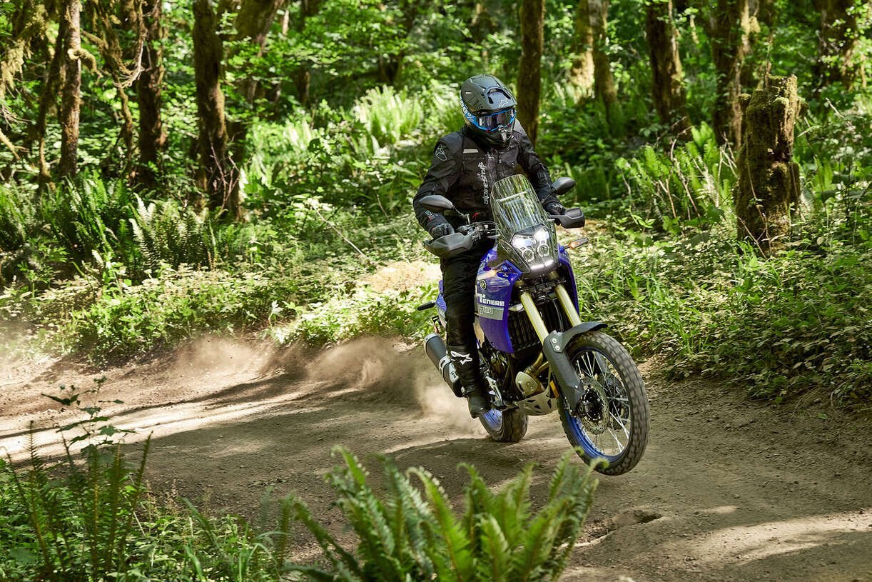 2024 Yamaha TENERE 700 Team Yamaha Bleu