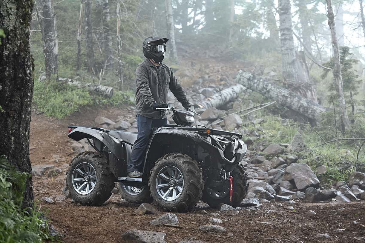 Yamaha Grizzly EPS SE 2025 Gris mat/noir métallisé