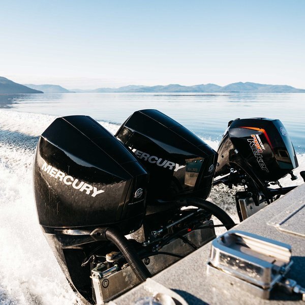 2023 Mercury Marine FourStroke 15 hp EFI