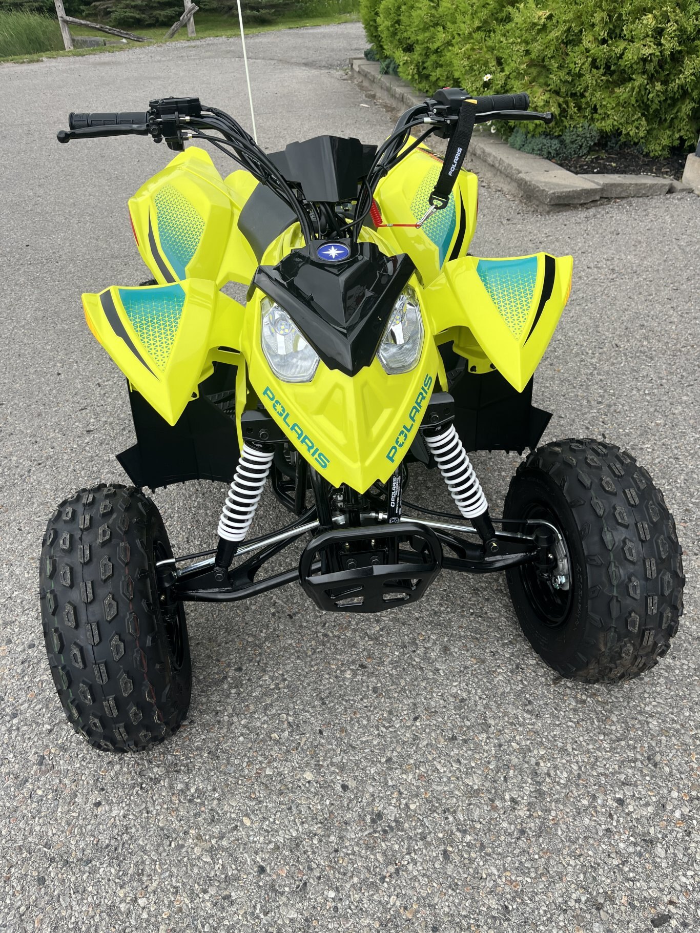 53061239 2
