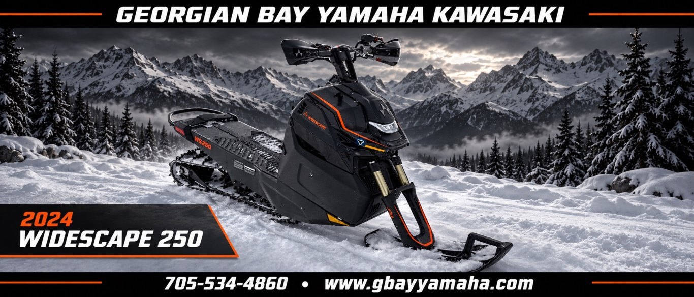 2024 ARCTIC CAT Widescape 250 Limited Availability!!