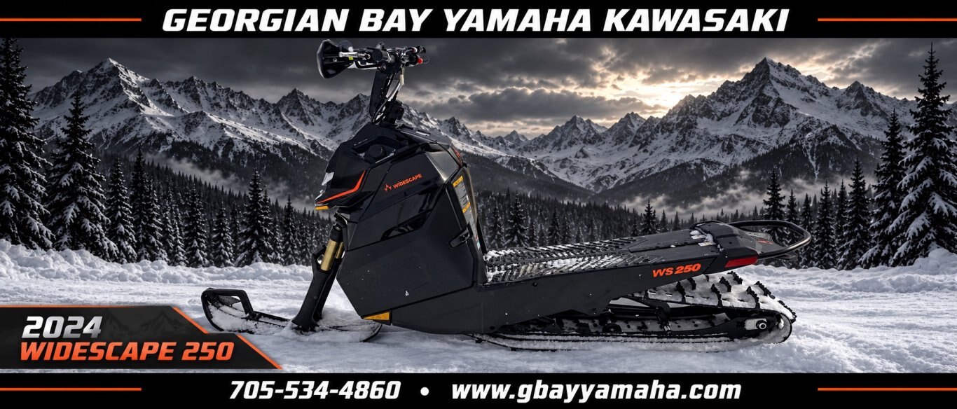 2024 ARCTIC CAT Widescape 250 Limited Availability!!