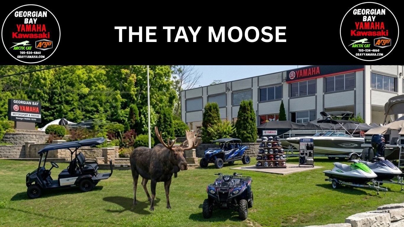 The TAY Moose