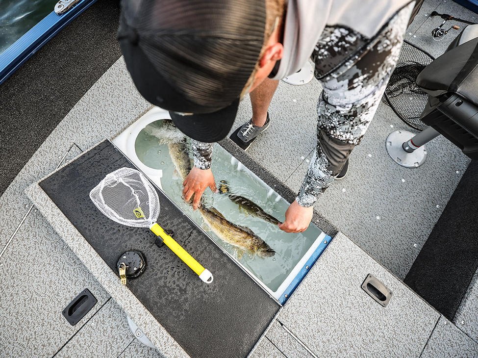 2026 Lund 1650 Angler Sport