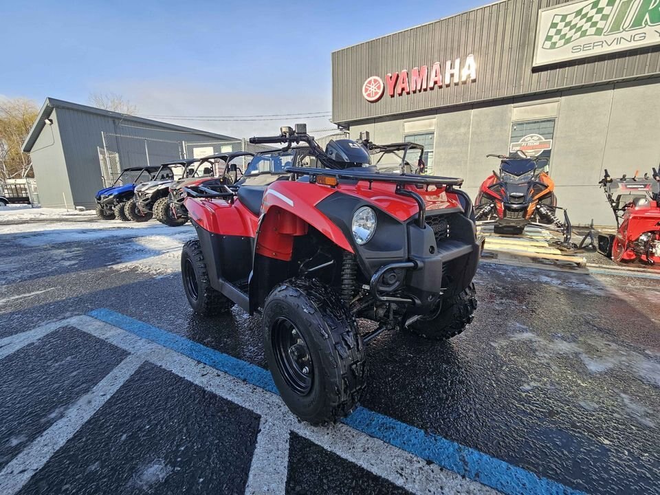 2020 Kawasaki Brute Force 300