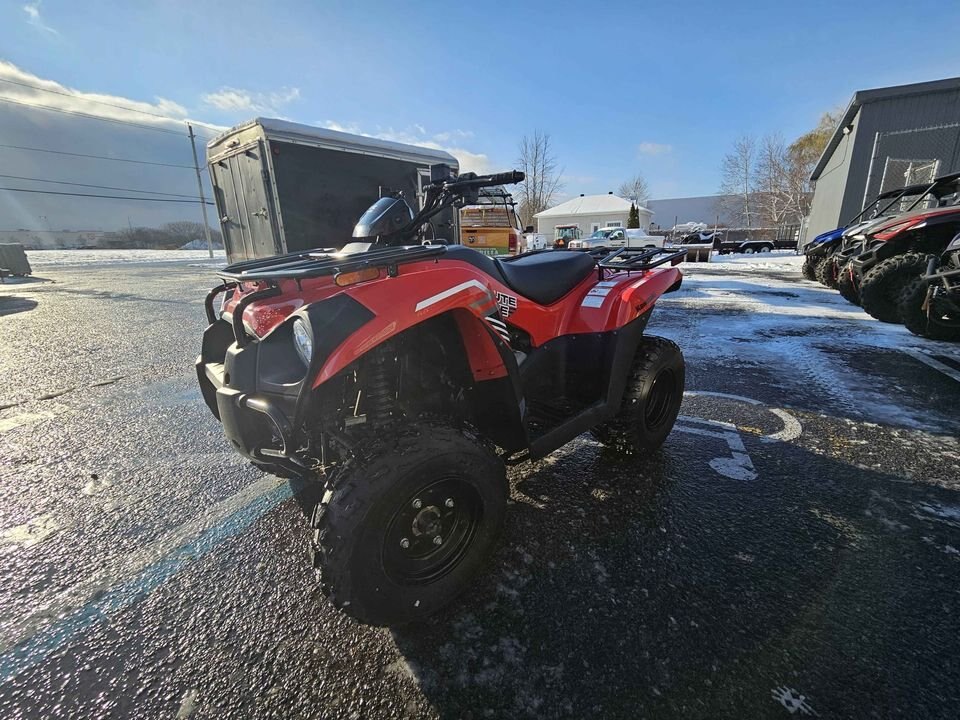 2020 Kawasaki Brute Force 300