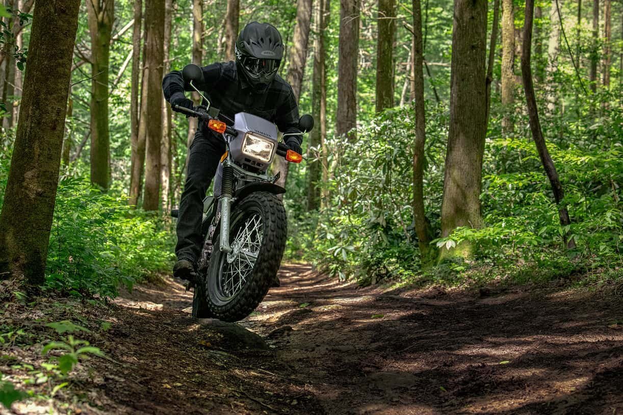 2027 Yamaha TW200