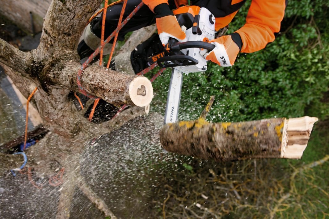 STIHL MS 201T C M CHAIN SAW 12 11452000253