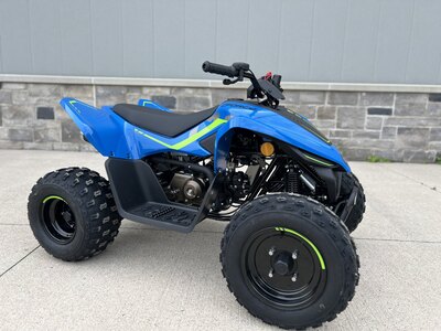 2026 CFMOTO CFORCE 110 CLASSIC