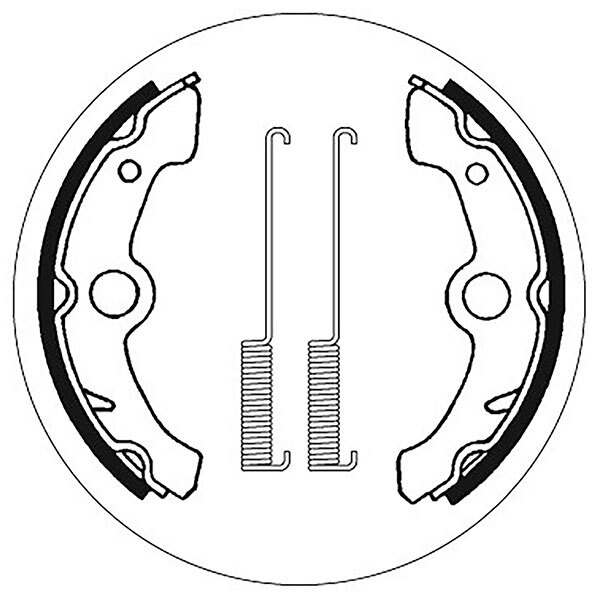 MÂCHOIRES DE FREIN SBS AVEC RESSORTS (5192178100)