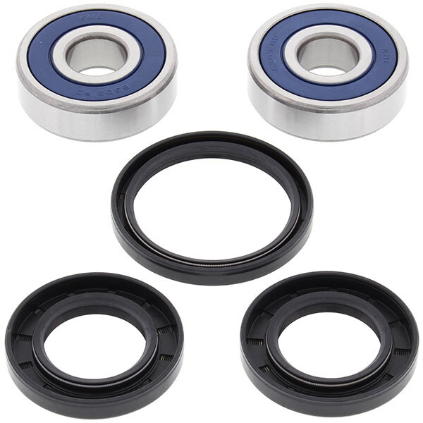 ALL BALLS WHEEL BEARING KIT (25 1448)