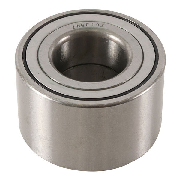 ALL BALLS WHEEL BEARING KIT (25 1752)