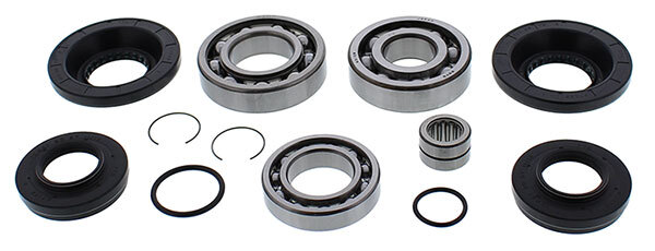 ALL BALLS DIFFERENTIAL BEARING & SEAL KIT (25 2111)