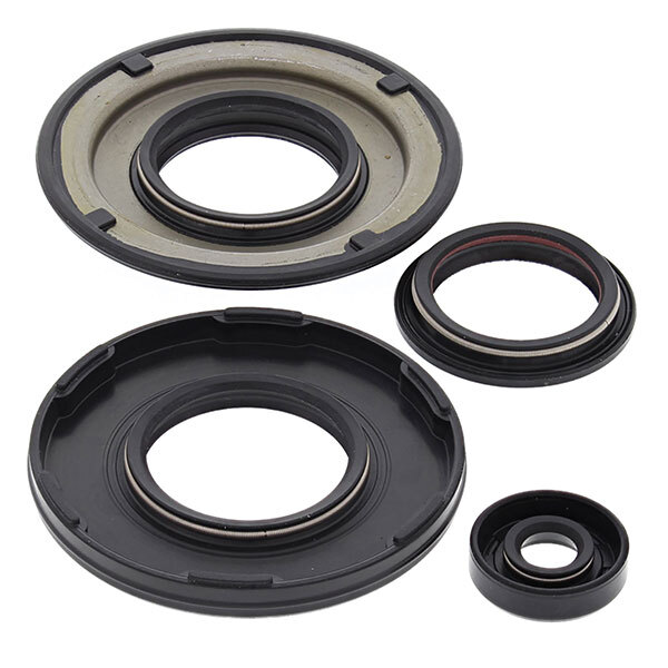 Vertex Engine Oil Seal Kit (55205)