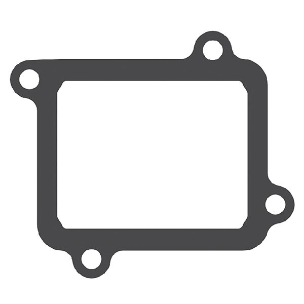 V FORCE 4 REPLACEMENT GASKET (G404)