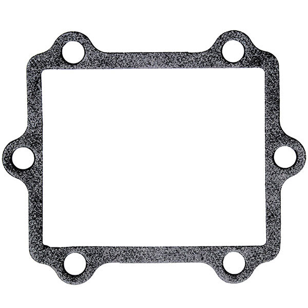 V FORCE 4 REPLACEMENT GASKET (G316)