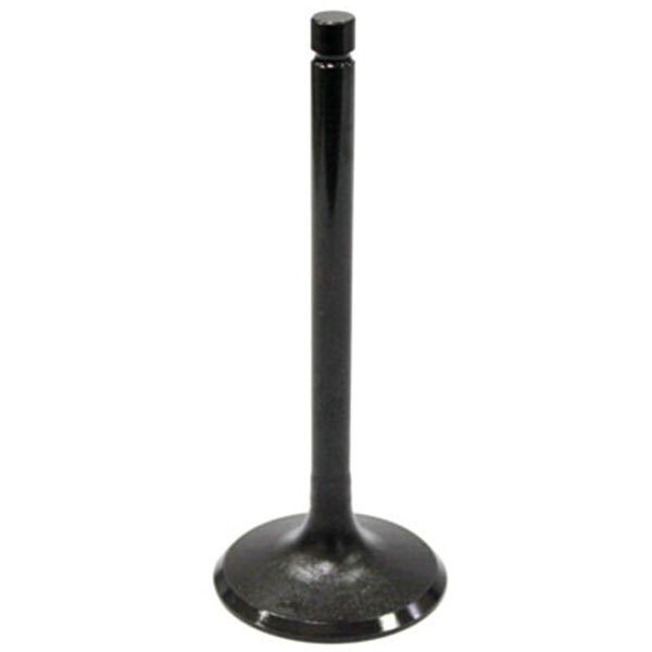 BRONCO ATV/UTV INTAKE VALVE (AU 09002I)